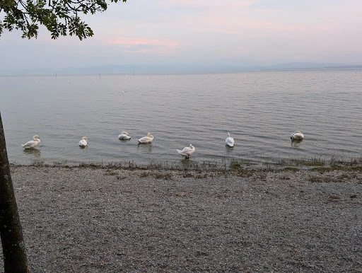 Gartenwirtschaft zum Schorsch photo 3